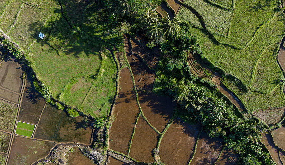 Retificação de área de imóvel rural: documentos necessários