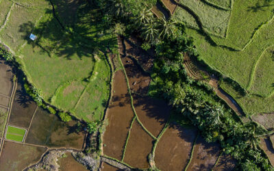 Retificação de área de imóvel rural: documentos necessários