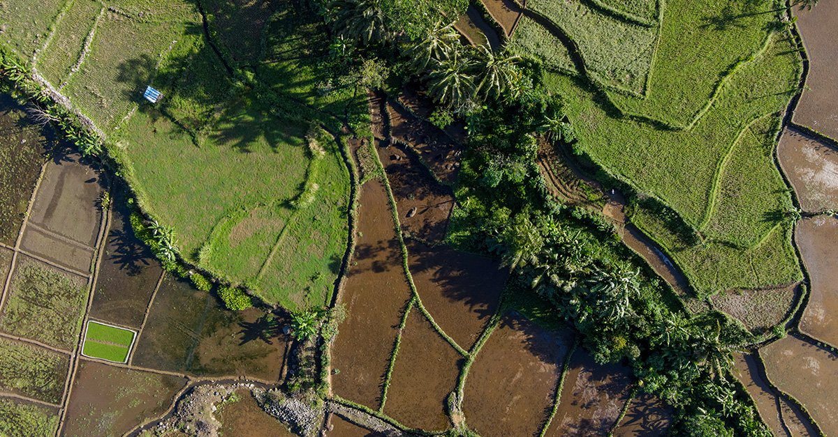 retificação de área de imóvel rural